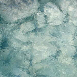 Embodying Biodynamics through Continuum