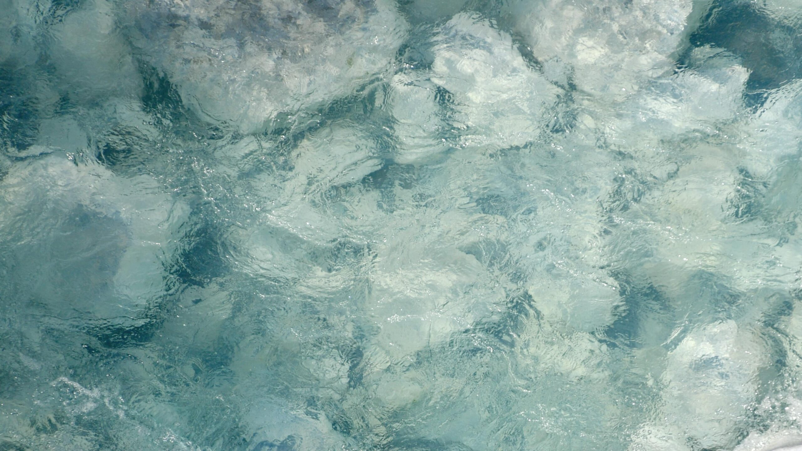 pexels-chente8888-34084721