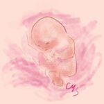 Exploring Your Prenatal Shadow