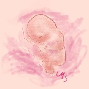 Exploring Your Prenatal Shadow