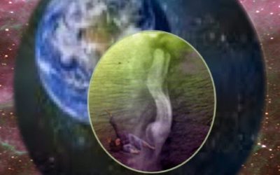 course thumbnail